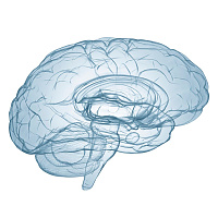 Jelenleg online kapcsolódásra tudok lehetőséget biztosítani. Várhatóan 2026 tavaszán érkezem vissza Magyarországra. 